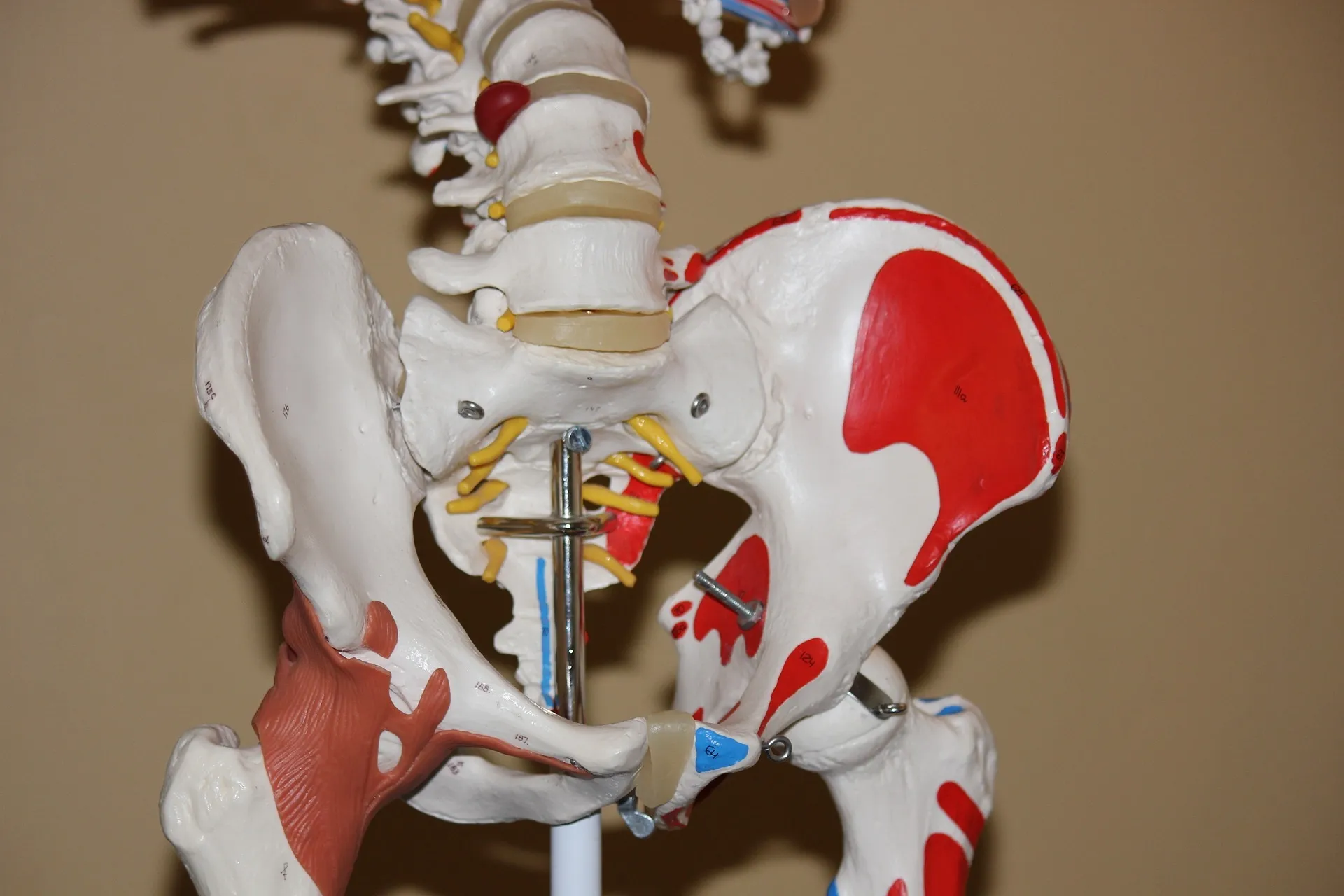 Hip pain treatment in Plymouth, MI